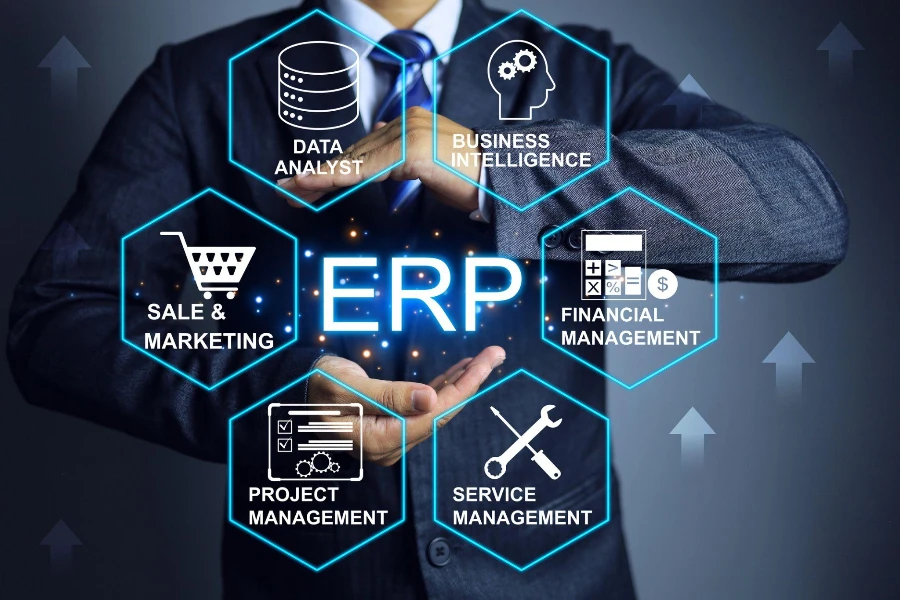 Empresário com software ERP