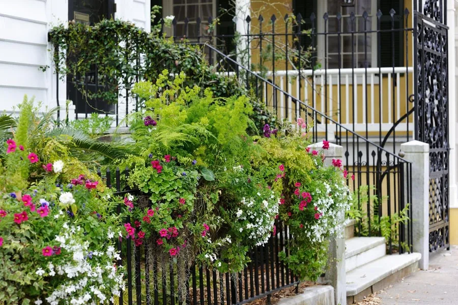 wrought iron fence 