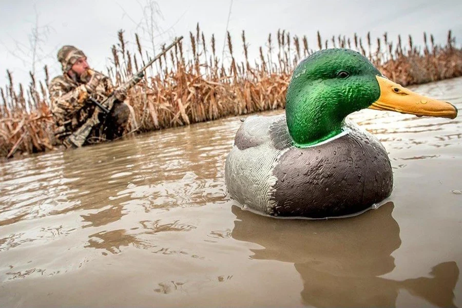 Uma isca de pato flutuante com um caçador por perto