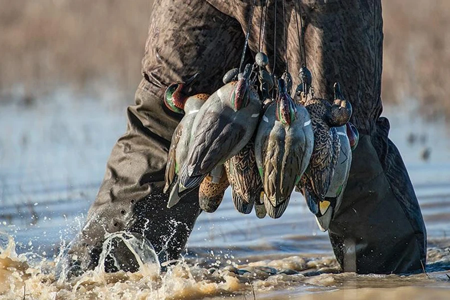 Man holding carrying multiple duck decoys