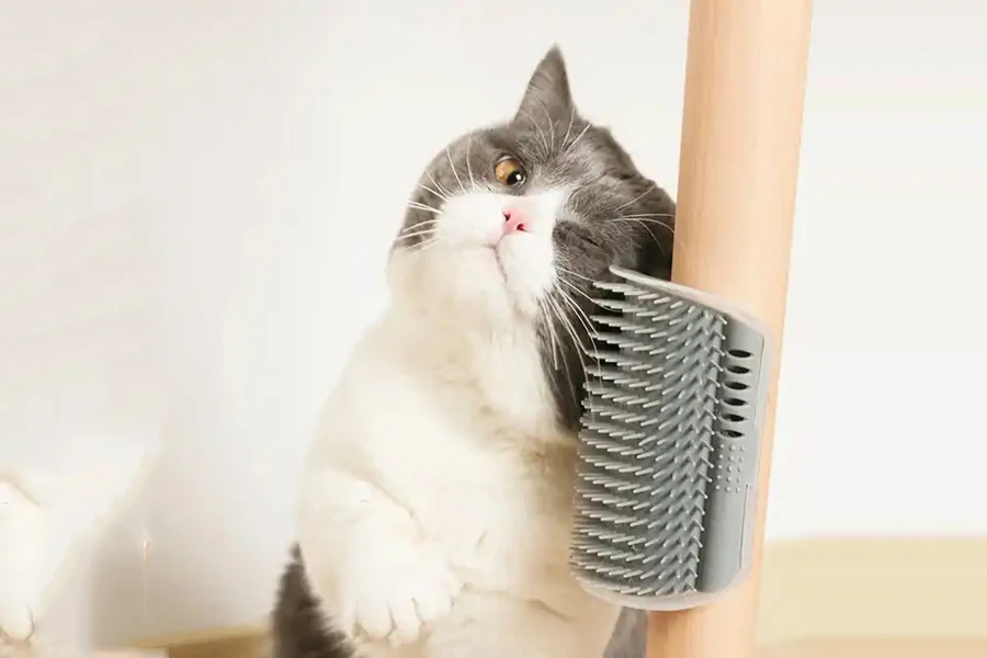 Mounted pet corner self-massager for cats