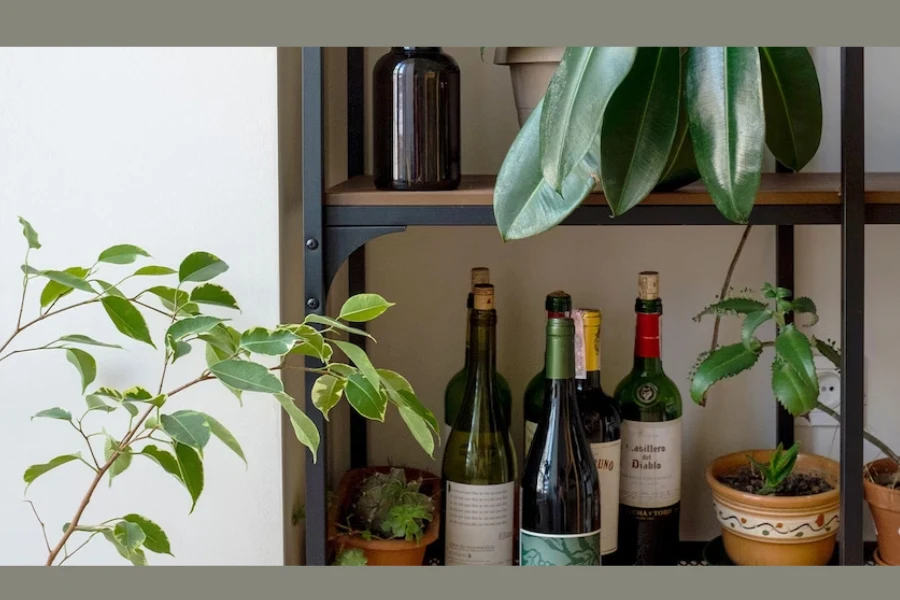 um bar caseiro com vasos de plantas verdes