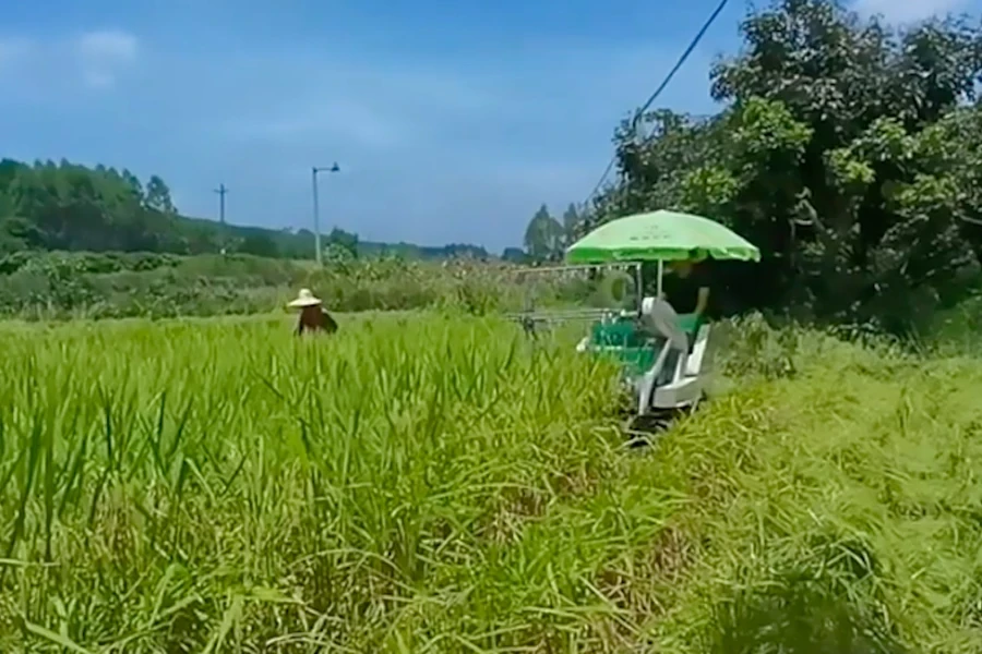 una pequeña cosechadora de arroz y un trabajador manual juntos