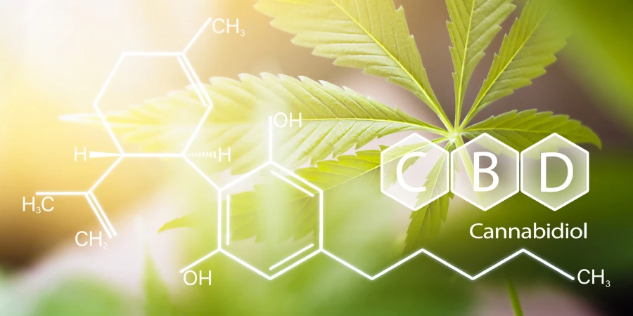 Fondo de hoja de cannabis y estructura química holográfica con componente CBD.
