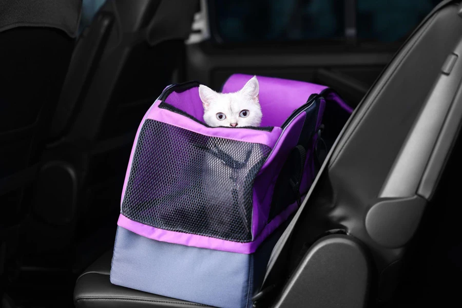 transportadora de gato em um carro