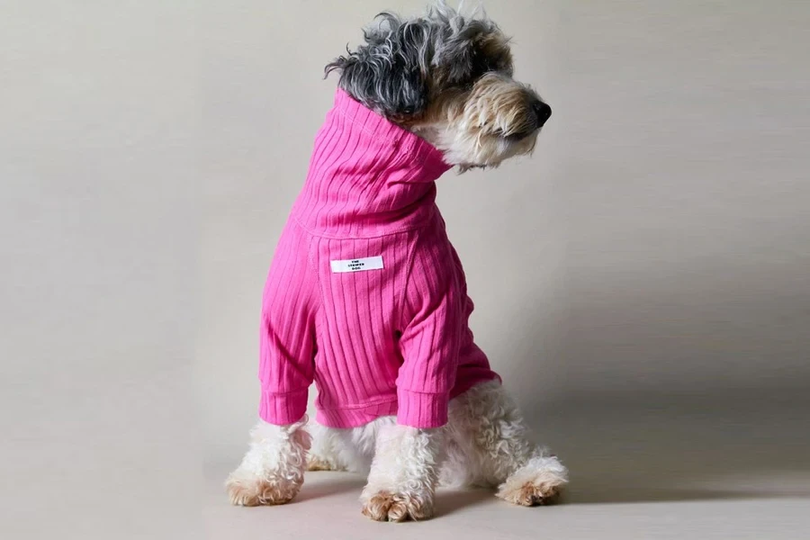 roupas para cães