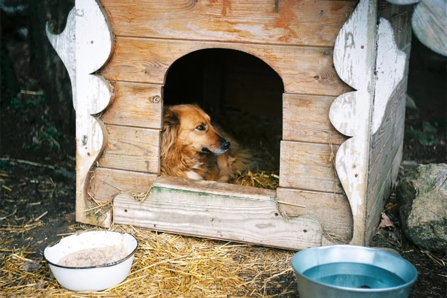 niche à chien