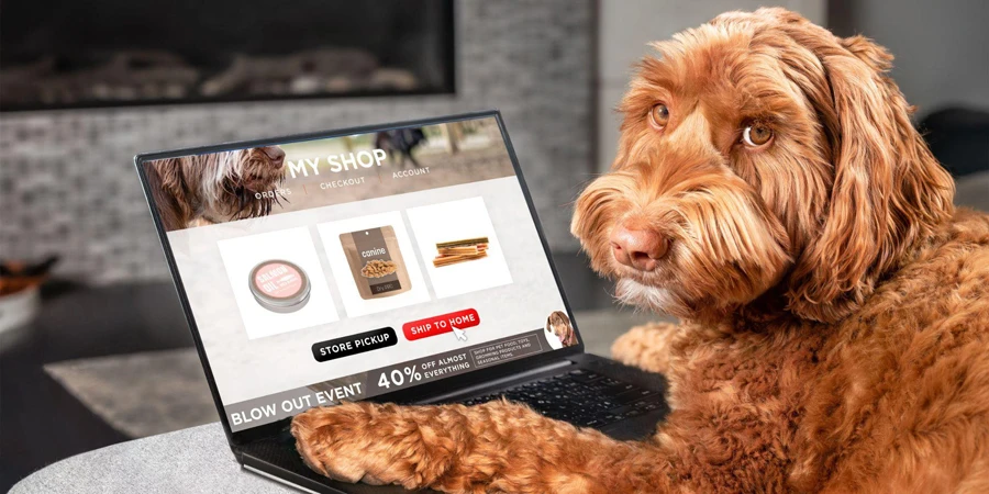 cachorro pedindo comida online