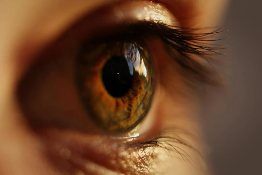 Close-up Photography Of Person's Eye
