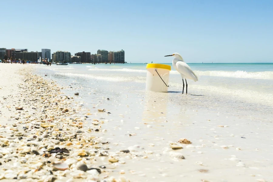 Mouette blanche sur le bord de mer à côté d'un récipient en plastique