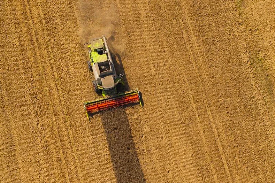 rice harvesting over a large crop field