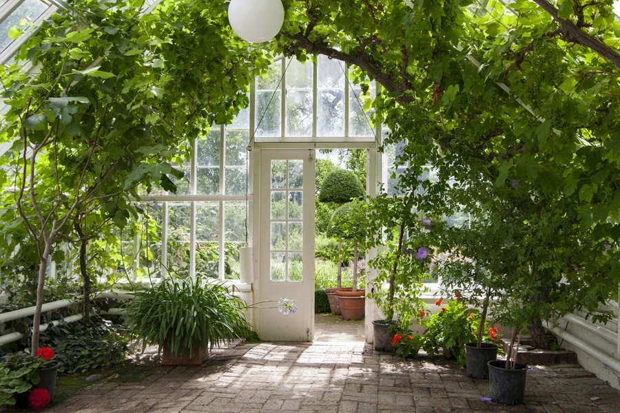 the garden greenhouse