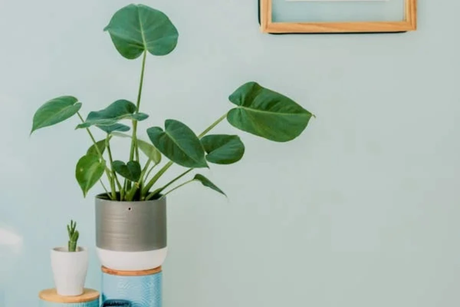 Vase greenery is an excellent spring home decor idea