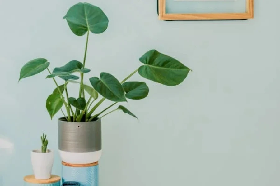 El verdor en florero es una excelente idea para la decoración del hogar en primavera