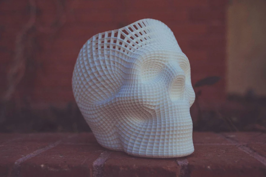 A 3D-printed skull.