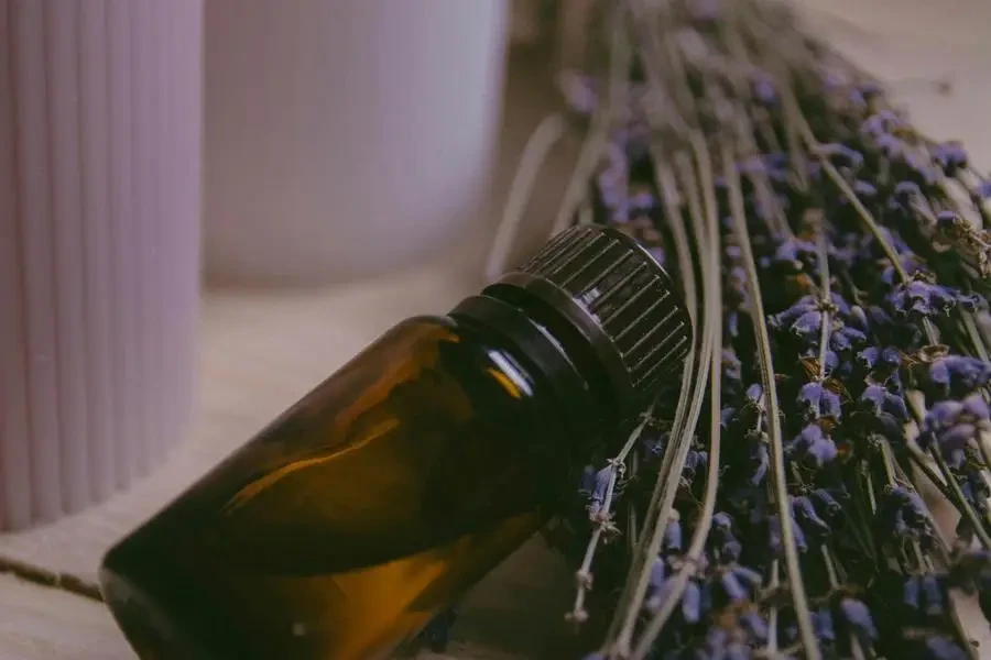 Una bottiglia di olio essenziale e un bouquet di lavanda di Ekaterina Mitkina