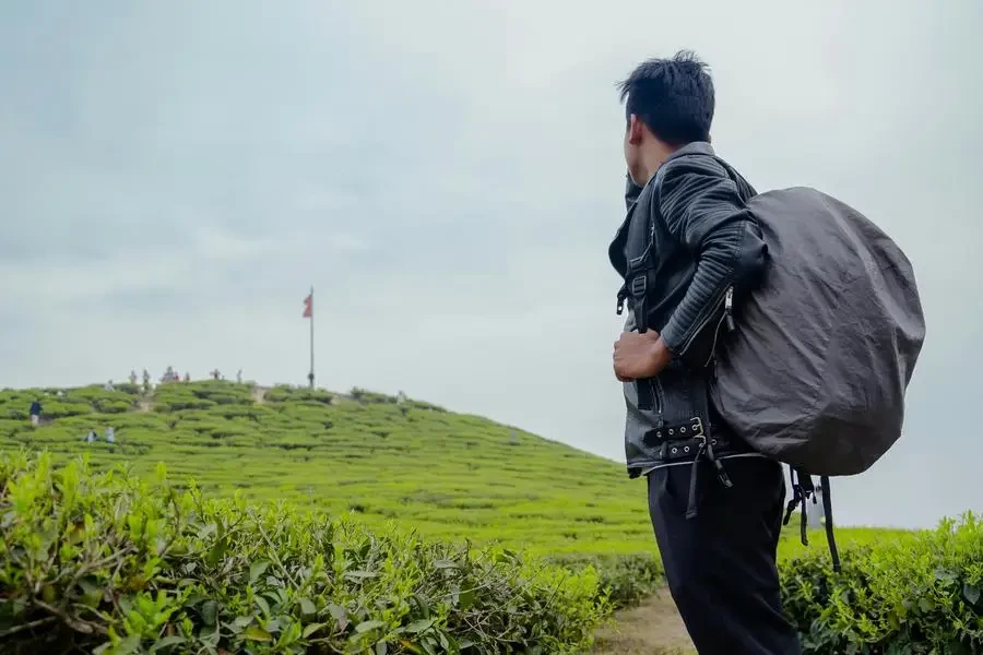 A man with a backpack standing on a path in front of tea fields by sagar sintan