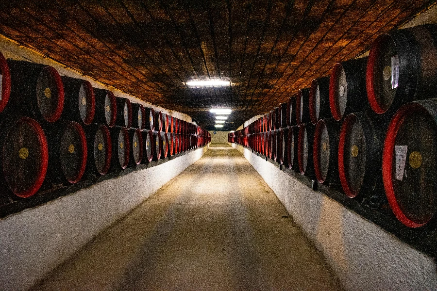 Black Barrel Lot in a Room Close-up Photography