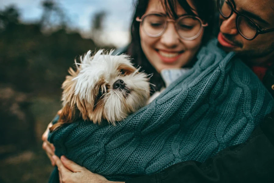 Paar umarmt einen Shih Tzu