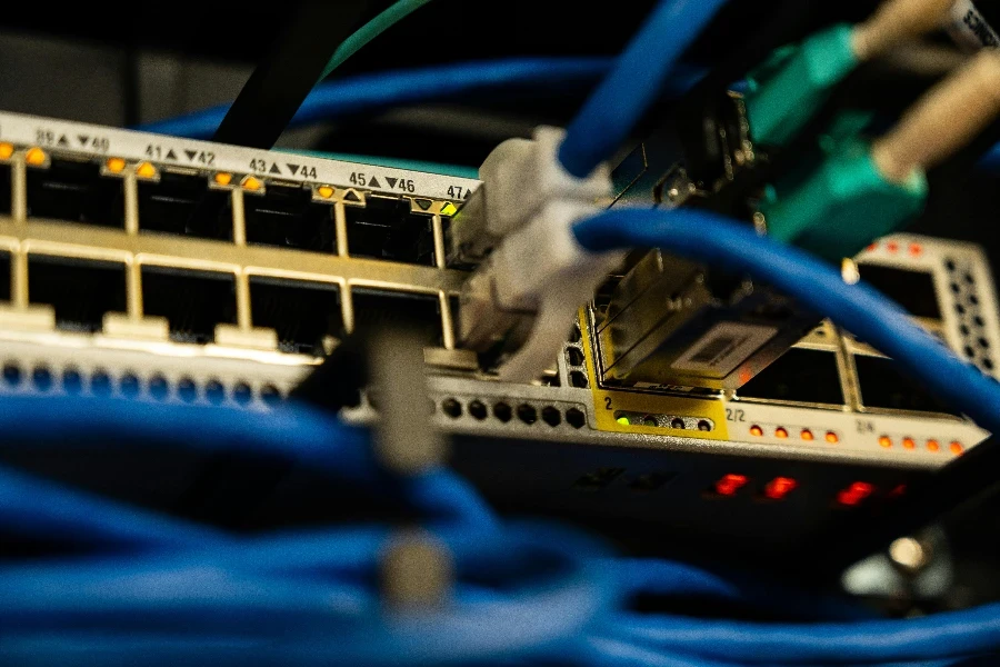 Ağ Anahtarına Takılı Ethernet Kabloları