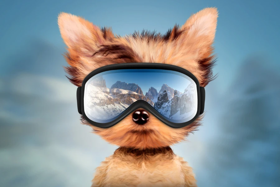 スキーゴーグルを身に着けている面白い犬。山の反射を持つ冬のガラスのマスク。