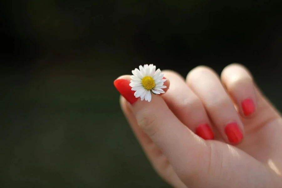 Personne avec une manucure rouge tenant une fleur à pétales blancs