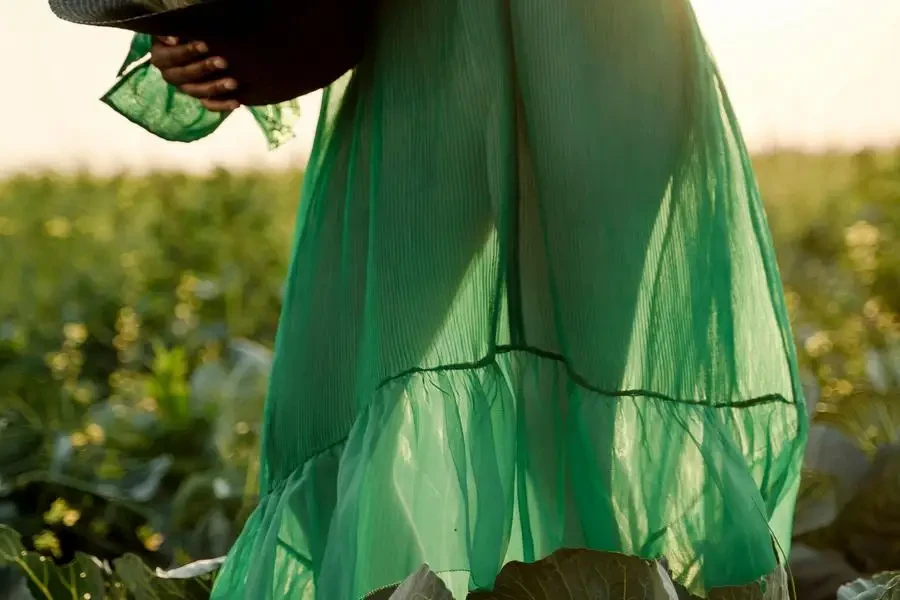 Silhueta de uma mulher irreconhecível usando um vestido verde e segurando um chapéu cheio de repolho, de Ron Lach