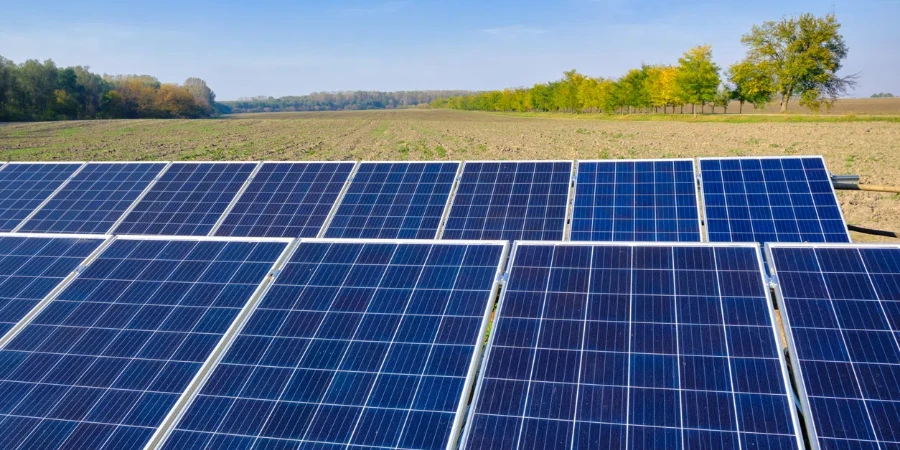 Paneles solares en el campo, concepto de energía renovable.