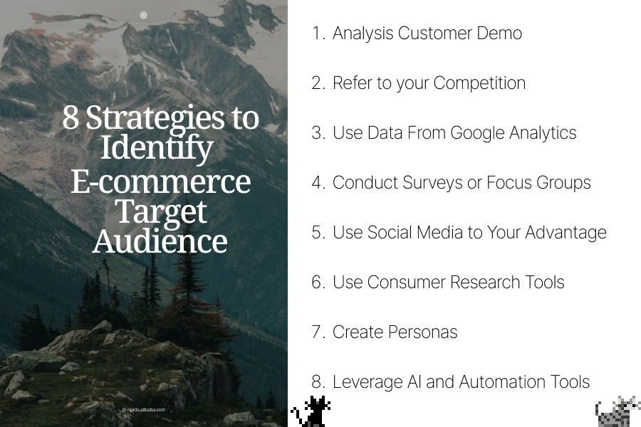 Strategies to Identify E-commerce Target Audience