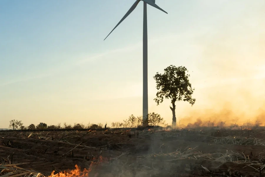 The impact of forest fires in wind farms, toxic smoke, and drought causes severe environmental pollution