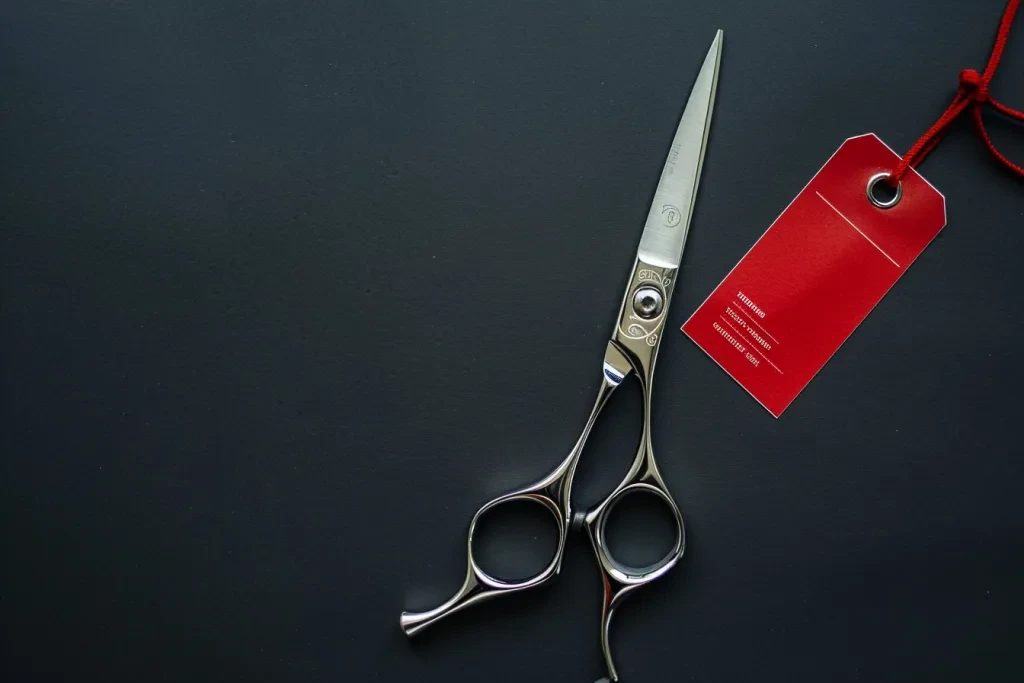 This is an overhead photo of professional hair scissors