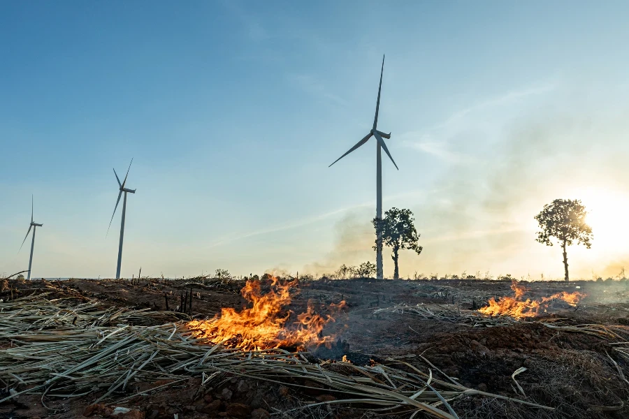 Les fumées toxiques provenant de la combustion de la canne à sucre ou de l'herbe sèche provoquent une pollution environnementale dangereuse dans les parcs éoliens