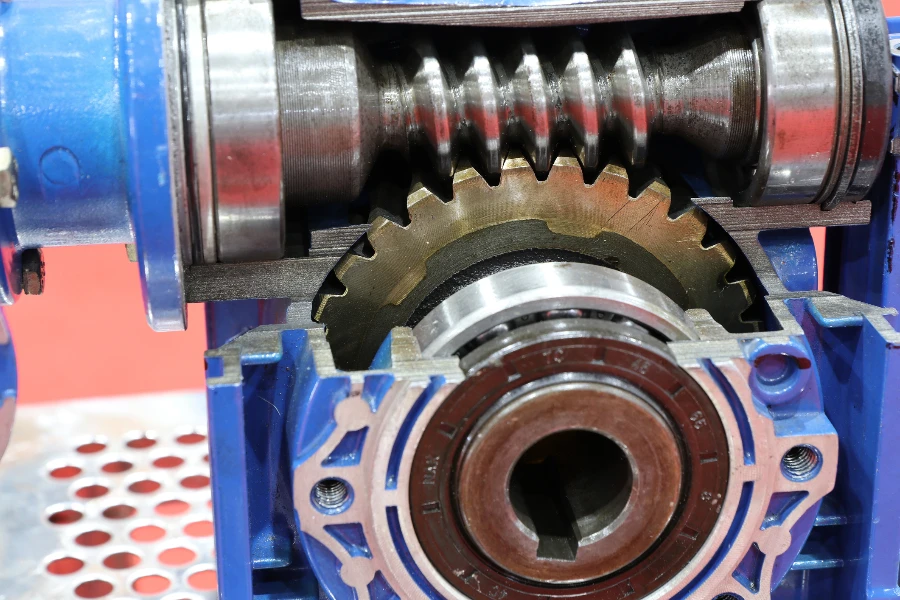 cross section of worm gear pump