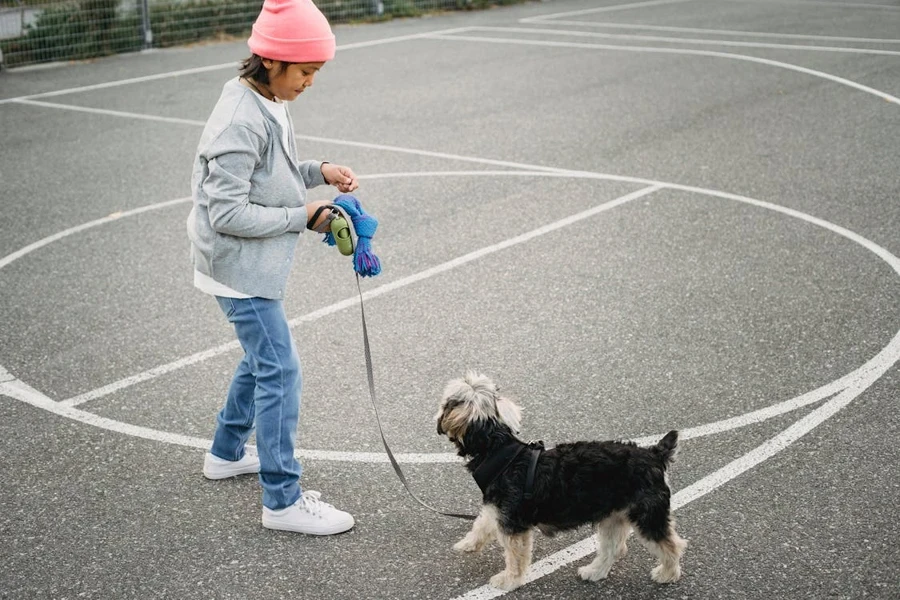 Hundegeschirr