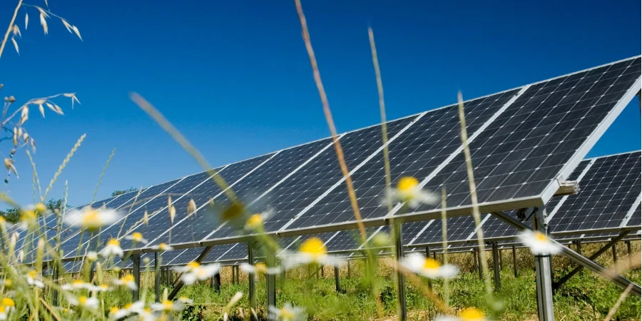 panel solar en un pasto