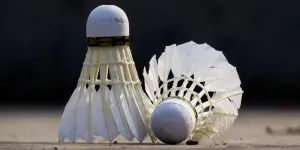 dua shuttlecock