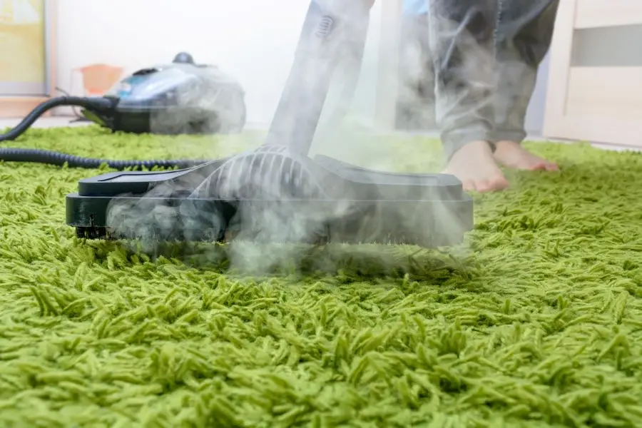 woman cleans a carpet with a steam cleaning