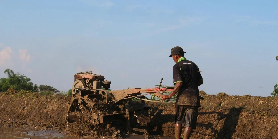 Um fazendeiro trabalhando em um campo de arroz