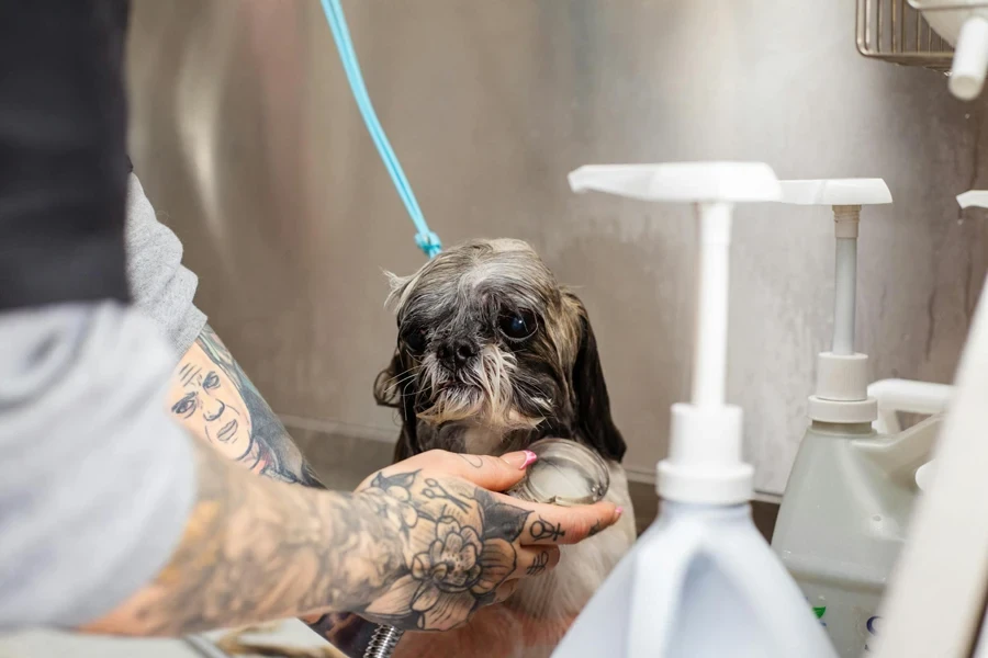 Un homme lave un chien avec une brosse