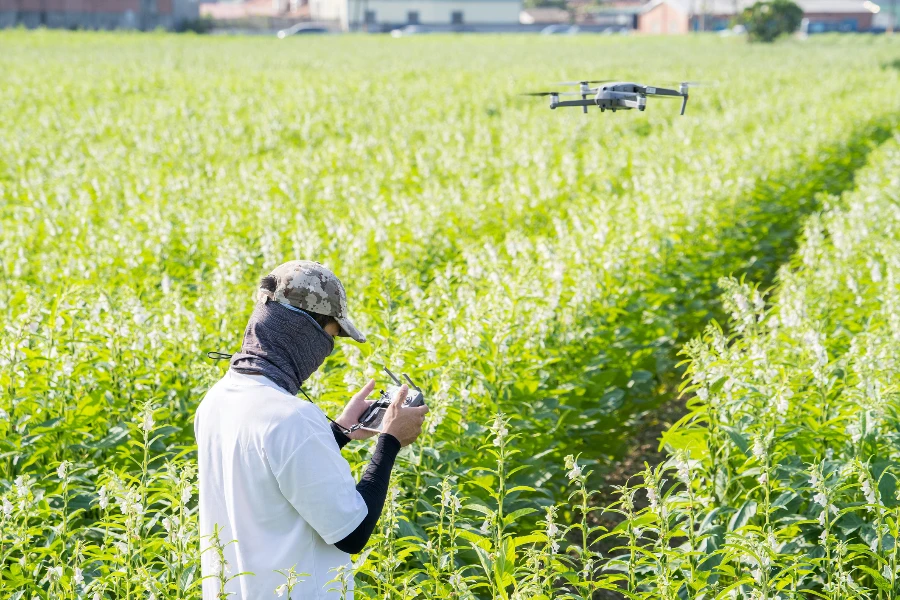 A young technician farmer is using remote control navigating drone tracing the farm to monitor the growth of sesame crops in the morning,