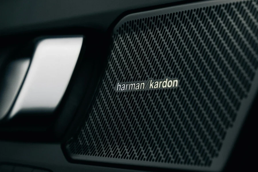 Altoparlante Harman Kardon nero nella portiera di un'auto Volvo