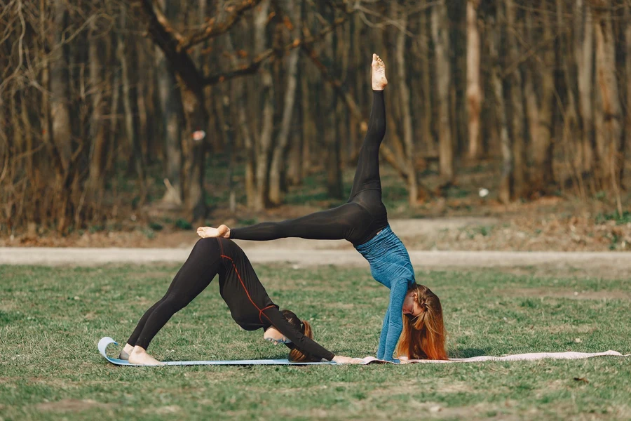 Fidanzate flessibili che praticano yoga su tappetini vicino alla foresta alla luce del giorno