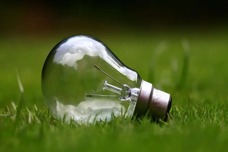 Light bulb on green grass by Ashes Sitoula