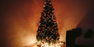 Fotografía del árbol de Navidad durante la noche