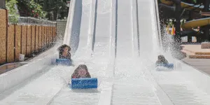 White Slides