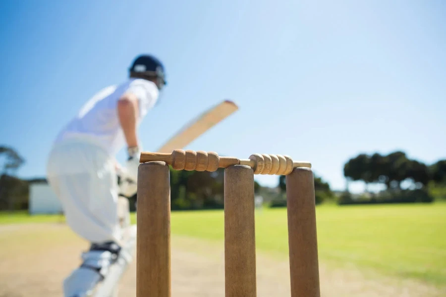 Cricket-Spieler vor dem Wicket mit Schläger