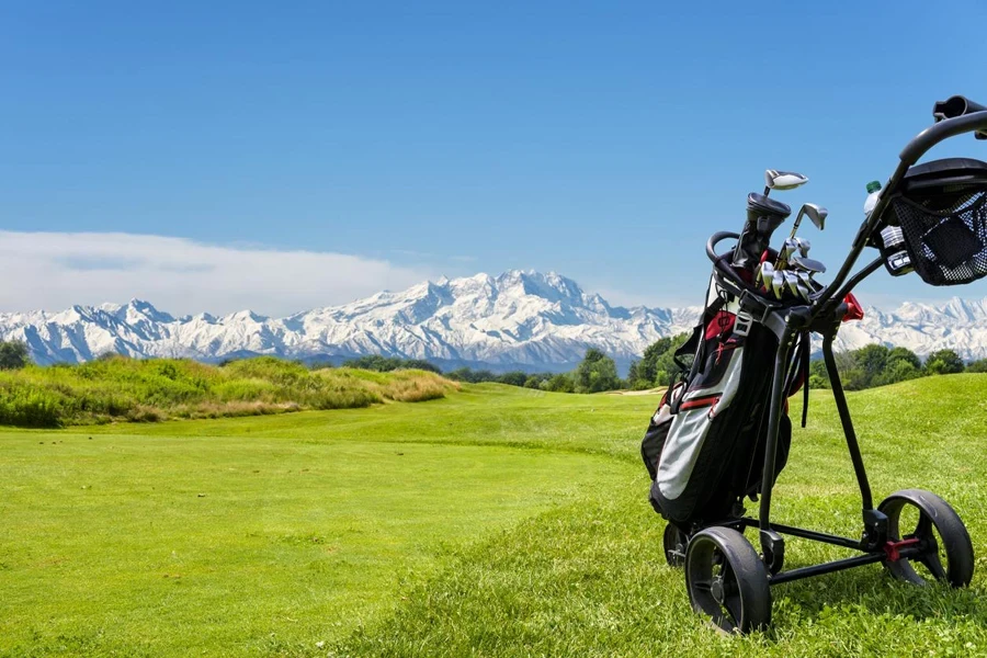 le sac de golf