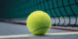 la pallina da tennis