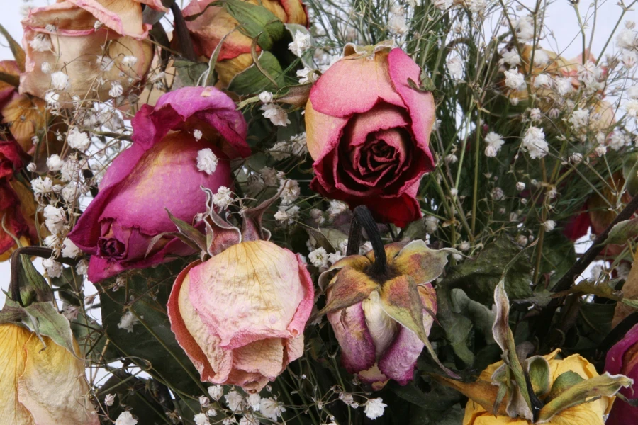 A bouquet of dead roses, grass, and gypsophila