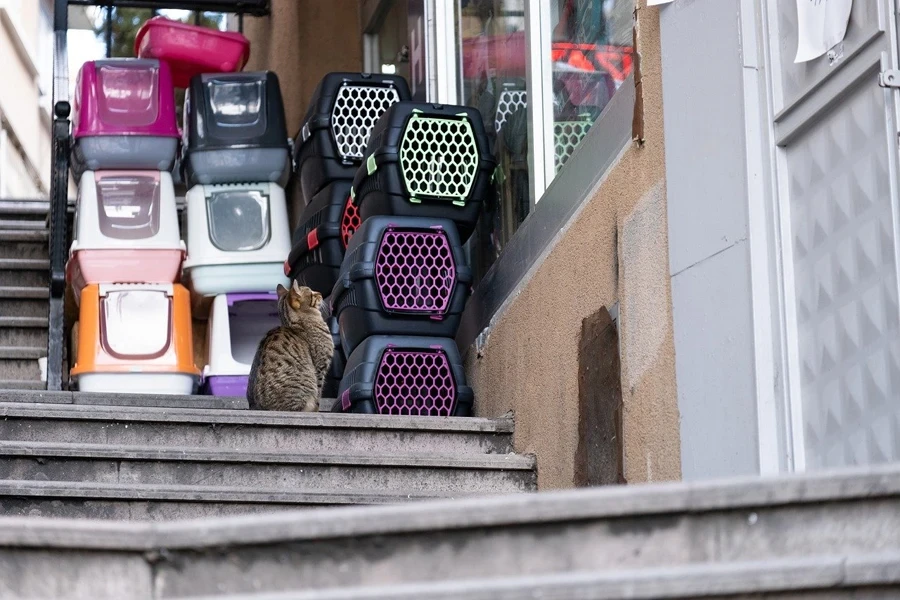 Une variété de transporteurs de boîtes à chats